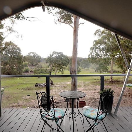 Wallabies Rest Ben Bullen Exterior foto